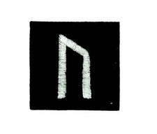 Patch ecusson brode thermocollant viking odin sorcellerie rune alphabet power