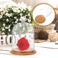  Vitrine Miniature Dôme