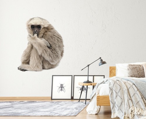 Singe gris c58 animal - singe,