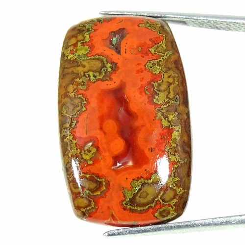 Cts cabochon taillé - 21.60,