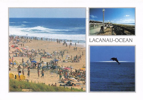 Lacanau ocean - 33,
