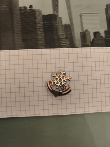 Insigne broche esf - insigne, du