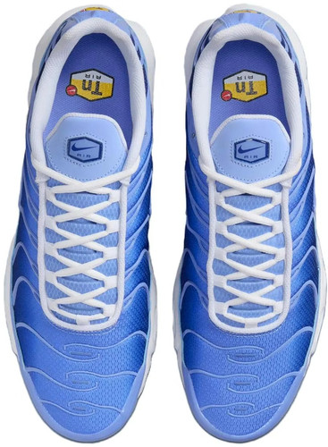 Nike air max plus retro - air,