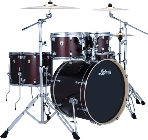 Ludwig evolution piece - ludwig,