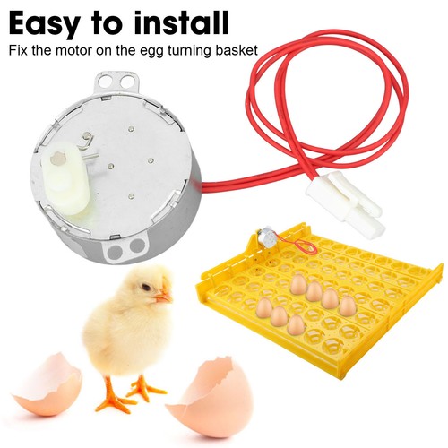 Egg turnner motor - egg,