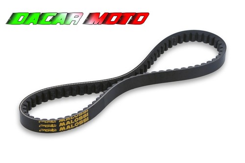 Courroie malossi honda - courroie,