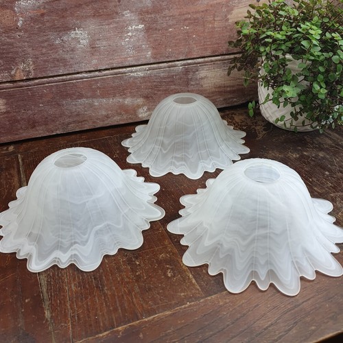 Lot tulipes abat jour - tulipes, en