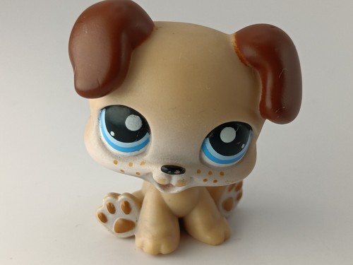 Littlest petshop authentic lps - littlest,