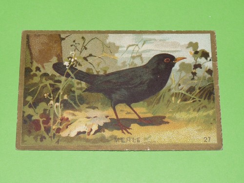 Chromo 1900 1914 - 1900-1914, chocolat