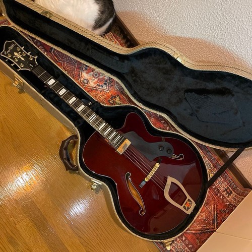 Guitare jazz hagstrom hl550 - jazz,