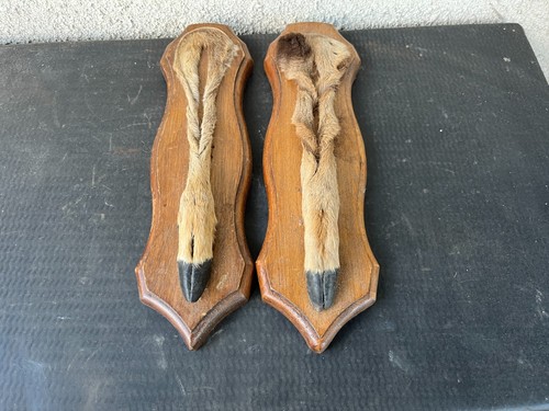 Lot trophees pieds de - 2,