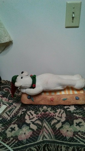 Exercising christmas bear - on, a