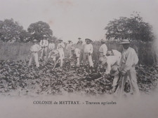 37 . Travaux Agricoles à la Colonie Pénitentiaire. Mettray. vers  1905