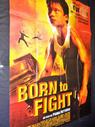 Born fight affiche cinema - fight,
