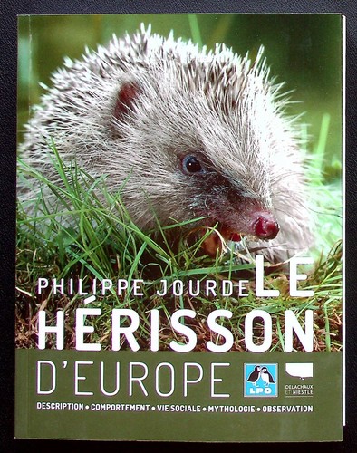 Herisson europe - d'europe,