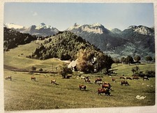 74 CPM Carte postale Montmin -