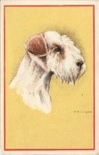 CPA AK Airedale Terrier DOGS (728262)