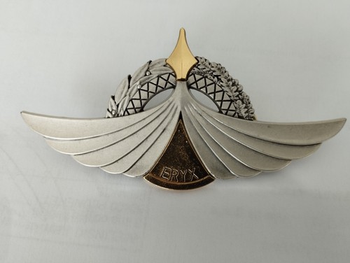 Insigne brevet tireur - brevet,