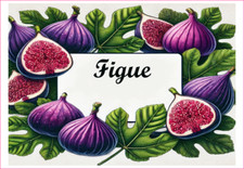 Figue 12 Etiquettes vinyle