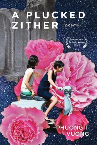 Phuong vuong plucked zither - a,