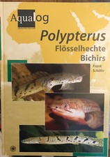 Aqualog Polypterus by Frank