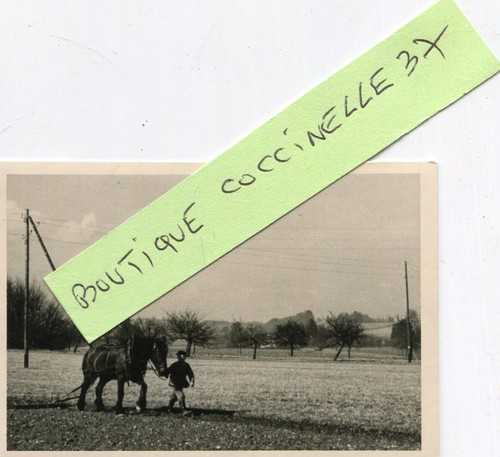 Agriculture photo labour - agriculture,