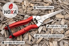 Sécateur à fruit, outils de cueillette, ciseaux à fleurs de taille et récolte 