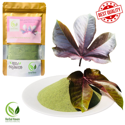 Poudre feuilles jatropha - de,