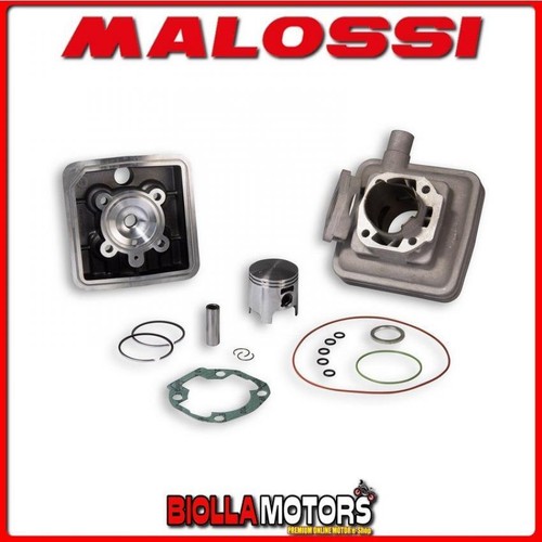 318394 cylindre kit - 318394,