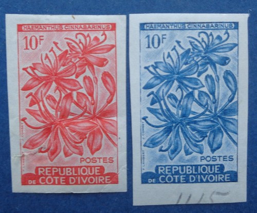 Cote ivoire essais de - essais,