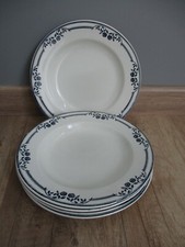 5 assiettes semi creuses en