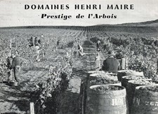 39 ARBOIS DOMAINES HENRI MAIRE
