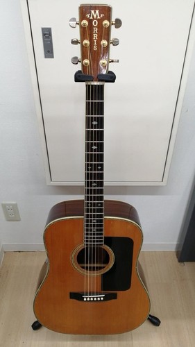 Guitare acoustique morris - guitare,
