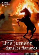 Cheval fantôme, Tome 3 : Une jument dans les flammes, Terri Farley