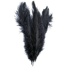 Plumes D'Autruche