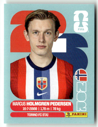 Panini 2026 world cup - 2026, wm