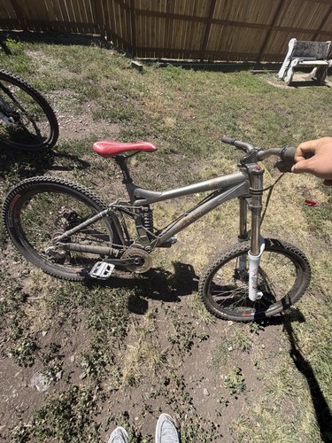 Iron horse sunday - horse, expert