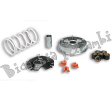 5039 - Variateur Malossi