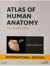 Atlas of Human Anatomy par Frank Netter 7th International Edition