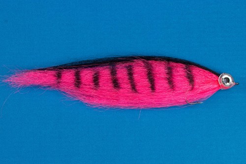 Fliegentom streamer tigre - de,