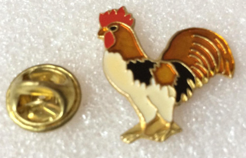 Pin vintage rugby - pin's,