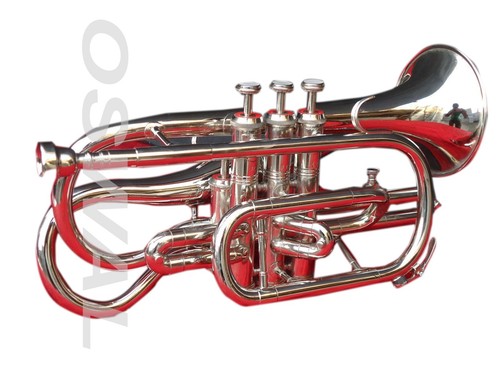 Nouveau cornet écho - nouveau, bb