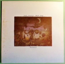 Andy SUMMERS + Robert FRIPP 1984 BEWITCHED E'G 823 452-1 Disque 33T VINYLE