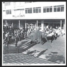 1997  --  MOURENX . CIRQUE . PARADE DU RADIO CIRCUS EN NOVEMBRE 1960 . 3X875