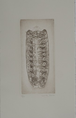 Cécile reims métamorphose - cécile, :