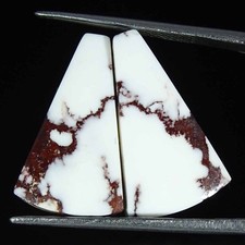 16.00Cts Naturel Sauvage