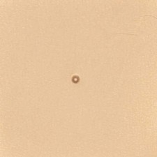 Matoir sur manche TANDY