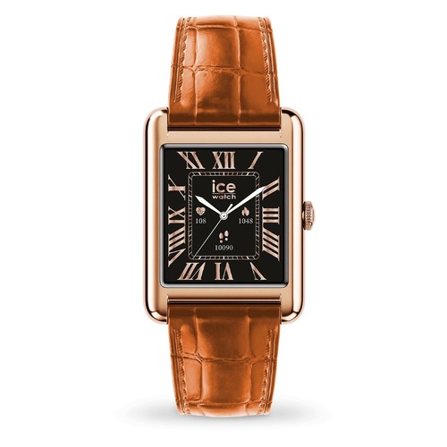 Ice watch montre marron - watch,