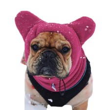 Bonnet chaud pour chien, tour