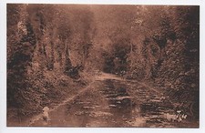 Cpa carte postale 79 Deux-Sèvres Coulon le Marais Poitevin